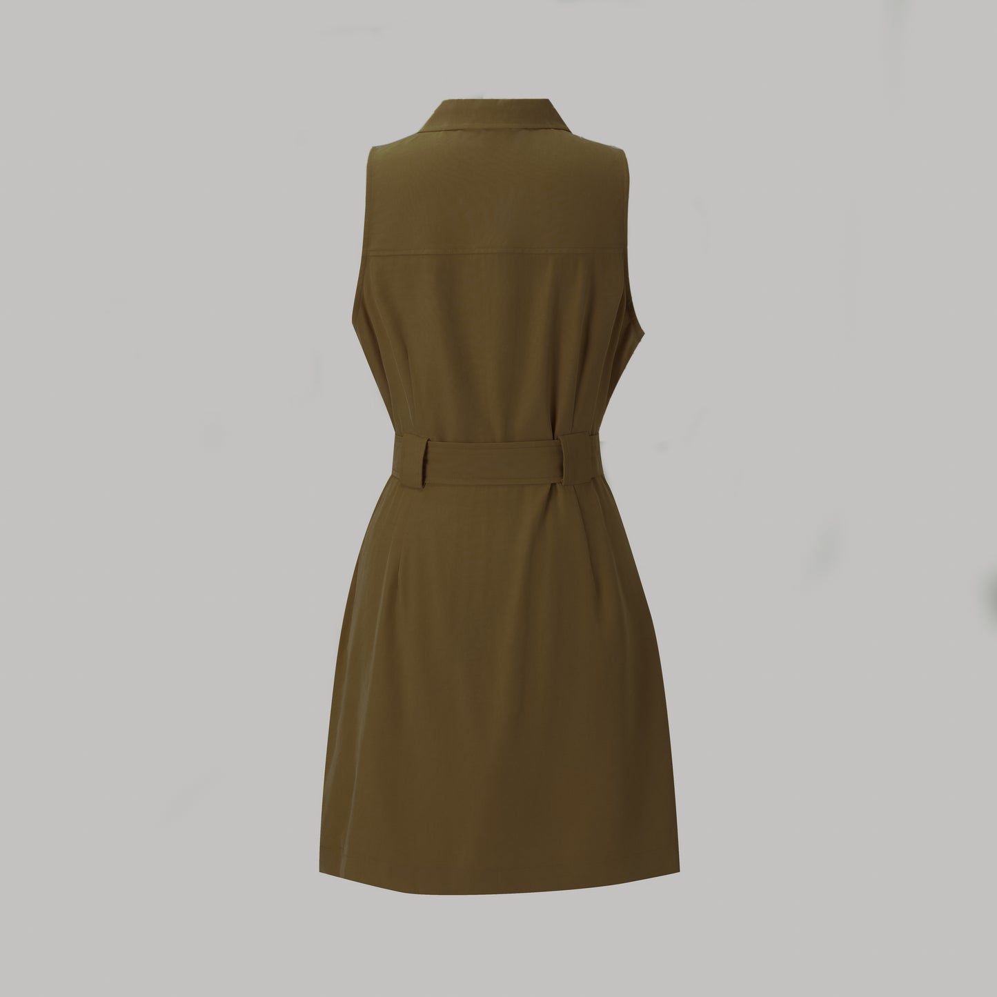 Olive Casual Dress